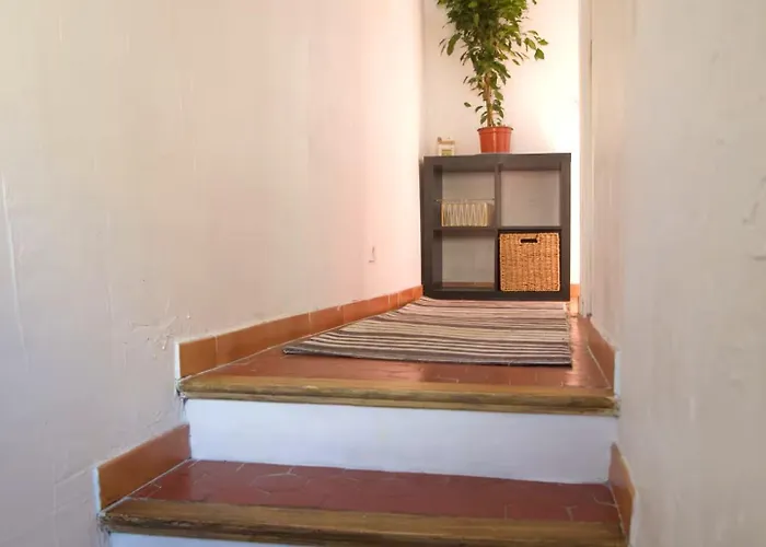 T3 Au Centre De Les Bains Apartment *