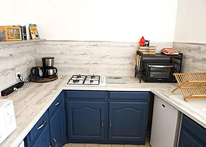 T3 Au Centre De Les Bains Apartment *